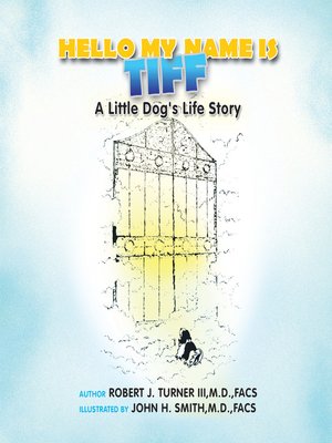 cover image of Hello, My Name Is Tiff